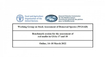 GFCM Conclusions and recommendations of the benchmark session for the assessment of red mullet in GSAs 17 and 18
