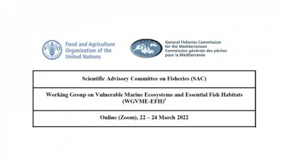 GFCM WG on Vulnerable Marine Ecosystems and Essential Fish Habitats (WGVME-EFH)