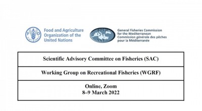 GFCM Working Group on Recreational Fisheries  (WGRF)