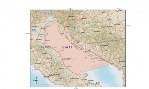 FG_Adriatic