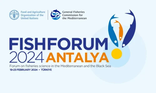 fishforum