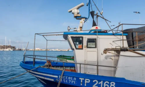 WG1 Reform of the Common Fisheries Policy