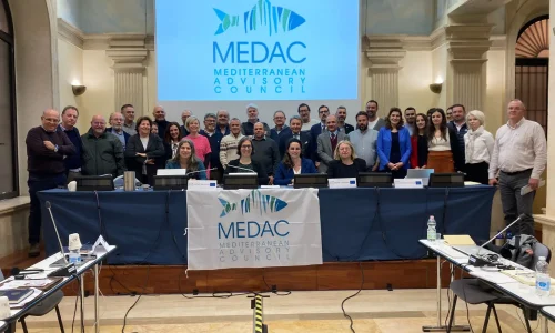 MEDAC - Executive Committee