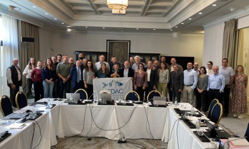 Medac Meetings 2025